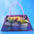 Fancy frosted plastic bags for women hand bag