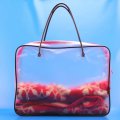 Frosted plastic resealable 2015 model hand bags tote bag