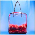 Plastic packing manufacturers frosted cosmetic tote bags